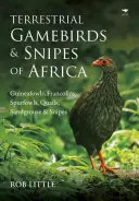 Afrika szárazföldi vadmadarai és snipjei: Guineafowls, Francolins, Spurfowls, Quails, Sandgrouse & Snipes - Terrestrial Gamebirds & Snipes of Africa: Guineafowls, Francolins, Spurfowls, Quails, Sandgrouse & Snipes