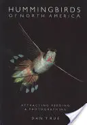 Kolibrik Észak-Amerikában: Attracting, Feeding, and Photographing - Hummingbirds of North America: Attracting, Feeding, and Photographing