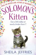 Salamon cicája - Solomon's Kitten