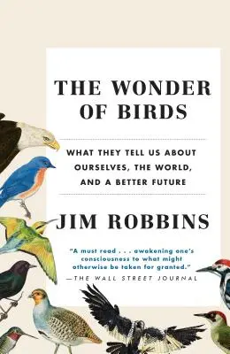 A madarak csodája: Mit mondanak nekünk önmagunkról, a világról és egy jobb jövőről - The Wonder of Birds: What They Tell Us about Ourselves, the World, and a Better Future