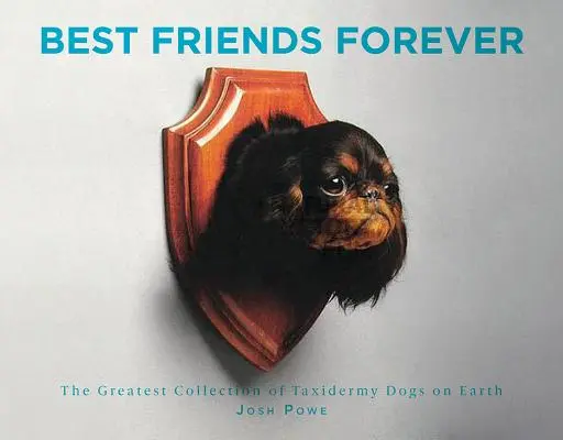 Örökké legjobb barátok: A világ legnagyobb preparált kutyagyűjteménye - Best Friends Forever: The Greatest Collection of Taxidermy Dogs on Earth