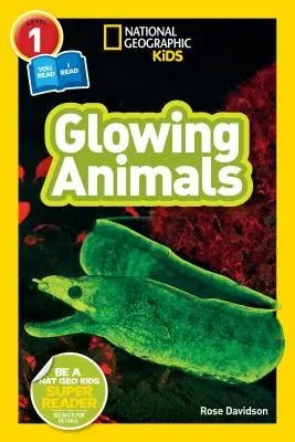 National Geographic Readers: Izzó állatok (L1/Co-Reader) - National Geographic Readers: Glowing Animals (L1/Co-Reader)