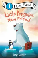 Kis pingvin új barátja - Little Penguin's New Friend