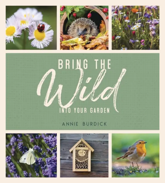 Hozd be a vadont a kertedbe - Egyszerű tippek a vadon élő állatok menedékének kialakításához - Bring the Wild into Your Garden - Simple Tips for Creating a Wildlife Haven