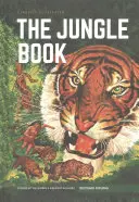 A dzsungel könyve - Jungle Book