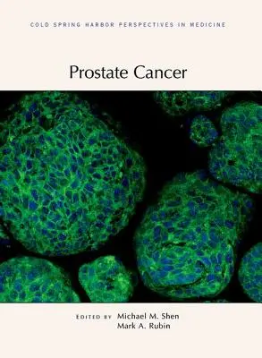 Prosztatarák - Prostate Cancer