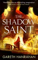 Árnyékszent - A Fekete Vas hagyaték második könyve - Shadow Saint - Book Two of the Black Iron Legacy