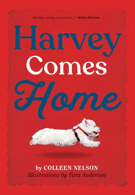 Harvey hazajön - Harvey Comes Home