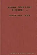 Potenciálelmélet Matsue-ban - A nemzetközi műhelybeszélgetés jegyzőkönyvei - Potential Theory in Matsue - Proceedings of the International Workshop