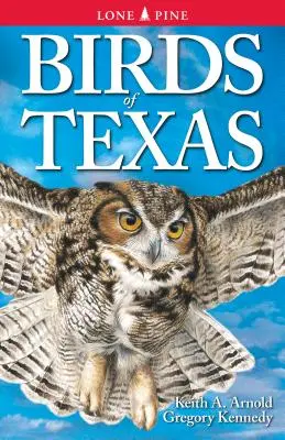 Texas madarai - Birds of Texas