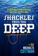 Bilincsek a mélyből: Egy elsüllyedt rabszolgahajó, egy keserű múlt és egy gazdag örökség útjának nyomon követése - Shackles from the Deep: Tracing the Path of a Sunken Slave Ship, a Bitter Past, and a Rich Legacy