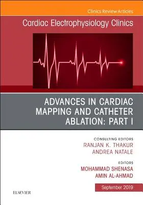 Fejlemények a szívtérképezés és a katéteres abláció terén: I. rész, a Cardiac Electrophysiology Clinics kiadványa, 11. szám - Advances in Cardiac Mapping and Catheter Ablation: Part I, an Issue of Cardiac Electrophysiology Clinics, 11