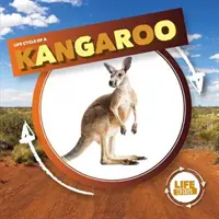 Kenguru - Kangaroo