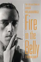 Tűz a gyomorban: David Wojnarowicz élete és kora - Fire in the Belly: The Life and Times of David Wojnarowicz