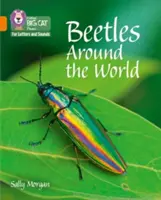 Bogarak a világ körül - 06. zenekar/Narancs - Beetles Around the World - Band 06/Orange