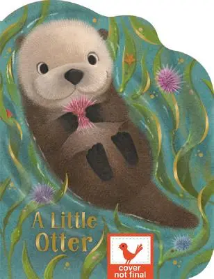 Egy kis vidra - A Little Otter