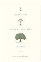 Hogyan működik a megszentelődés? - How Does Sanctification Work?