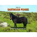 A dartmoori pónik szelleme - Spirit of Dartmoor Ponies