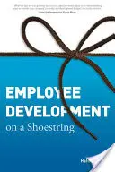 Munkavállalók fejlesztése kis költségvetésből - Employee Development on a Shoestring