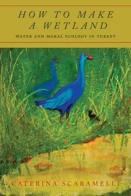 Hogyan készítsünk vizes élőhelyet? Víz és erkölcsi ökológia Törökországban - How to Make a Wetland: Water and Moral Ecology in Turkey