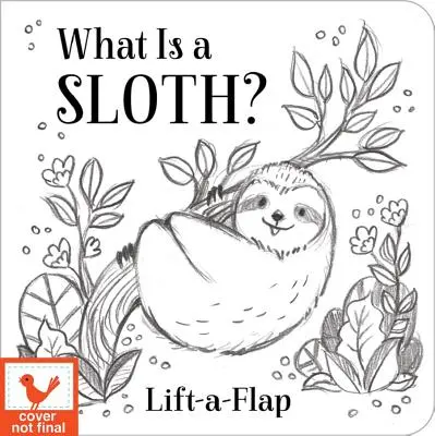 Mi az a lajhár? - What Is a Sloth?