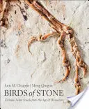 Kőből készült madarak: Kínai madárfosszíliák a dinoszauruszok korából - Birds of Stone: Chinese Avian Fossils from the Age of Dinosaurs