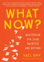 Mi lesz most? Meditáció a húszas éveidben és azon túl - What Now?: Meditation for Your Twenties and Beyond