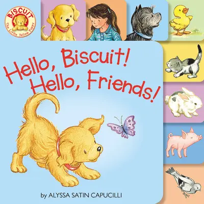 Hello, Biscuit! Helló, barátaim! Táblás könyv - Hello, Biscuit! Hello, Friends! Tabbed Board Book