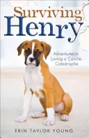 Túlélő Henry: Kalandok egy kutyakatasztrófa szeretetében - Surviving Henry: Adventures in Loving a Canine Catastrophe