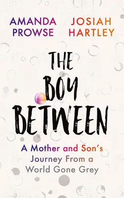 A fiú a kettő között: Egy anya és fia utazása egy szürkévé vált világból - The Boy Between: A Mother and Son's Journey from a World Gone Grey