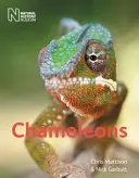 Kaméleonok - Chameleons