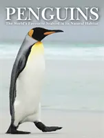 Pingvinek - lenyűgöző fotók a világ kedvenc tengeri madaráról - Penguins - Stunning Photographs of the World's Favourite Seabird