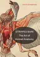 Meztelenre vetkőztetve: Az állati anatómia művészete - Stripped Bare: The Art of Animal Anatomy