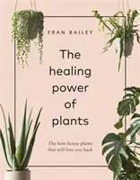 A növények gyógyító ereje - A hős szobanövények, amelyek visszaszeretnek téged - Healing Power of Plants - The Hero House Plants that Love You Back