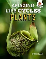 Növények - Csodálatos életciklusok - Plants - Amazing Life Cycles