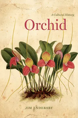 Orchidea: Egy kultúrtörténet - Orchid: A Cultural History