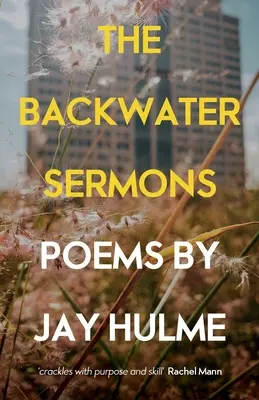 A Backwater Sermons - The Backwater Sermons