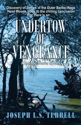 Undertow of Vengeance