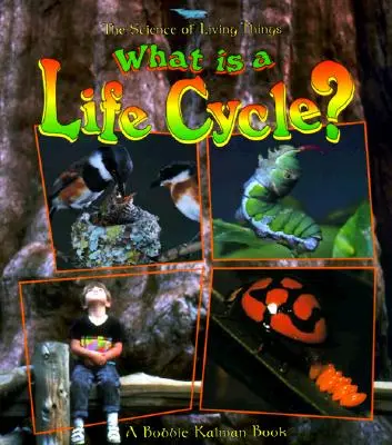 Mi az életciklus? - What Is a Life Cycle?