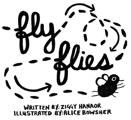 Fly Flies