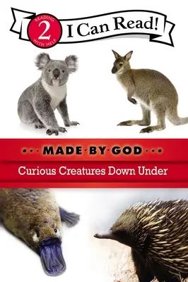 Kíváncsi lények odalent: Level 2 - Curious Creatures Down Under: Level 2