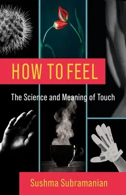 Hogyan érezzünk: Az érintés tudománya és jelentése - How to Feel: The Science and Meaning of Touch