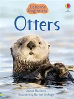 Vidra - Otters