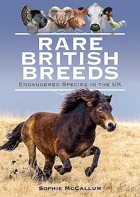 Ritka brit fajták: Veszélyeztetett fajok az Egyesült Királyságban - Rare British Breeds: Endangered Species in the UK