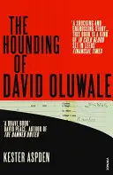 David Oluwale üldözése - Hounding of David Oluwale