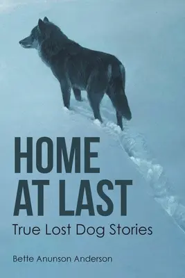 Végre otthon: Igazi elveszett kutya történetek - Home at last: True Lost Dog Stories