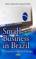 Kisvállalkozások Brazíliában - Versenyképes globális kihívások - Small Business in Brazil - Competitive Global Challenges