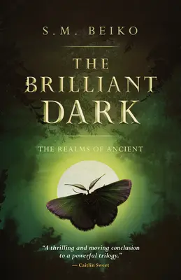 A ragyogó sötétség: Az Ősi Birodalmak, 3. könyv - The Brilliant Dark: The Realms of Ancient, Book 3