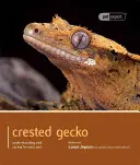 címeres gekkó: Gekkó: A háziállat megértése és gondozása - Crested Gecko: Understanding and Caring for Your Pet