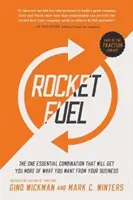 Rakétaüzemanyag: Az egyetlen alapvető kombináció, amellyel többet kaphatsz abból, amit szeretnél az üzletedtől - Rocket Fuel: The One Essential Combination That Will Get You More of What You Want from Your Business